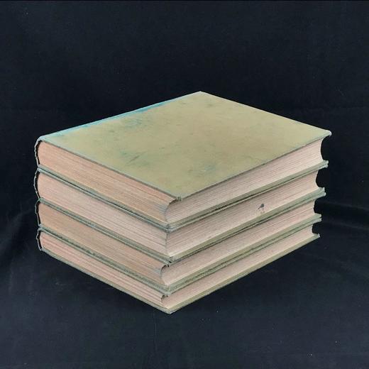 约19世纪后期 图解园艺词典（全4卷） 数百幅精美版画插图 漆布精装16开 商品图1