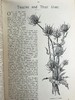 1922年 年轻的英格兰杂志 数百幅版画插图 漆布精装16开 商品缩略图9