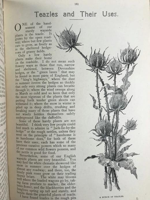1922年 年轻的英格兰杂志 数百幅版画插图 漆布精装16开 商品图9