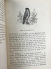 1882年 乡村鸟类生活 数十幅木版画插图 漆布精装32开 商品缩略图12