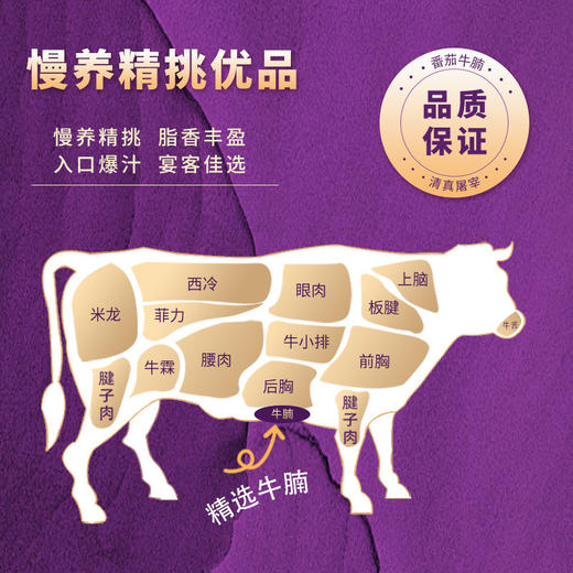 【无科技预制菜❗️番茄牛腩】国有牧场生态自养，入口爆汁，口感鲜美，富有嚼劲，番茄牛腩预制菜半成品加热即食番茄牛腩300g袋装下饭菜QQ 商品图2