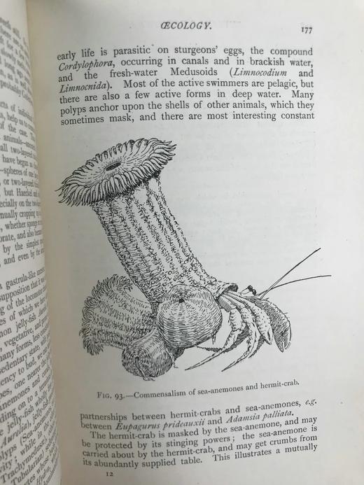 1910年 动物学纲要 420幅插图 漆布精装32开 商品图10