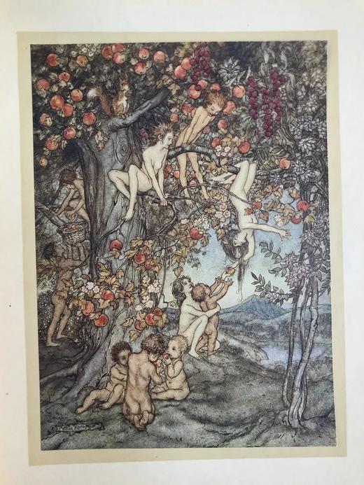 约20世纪早期 霍桑《神奇故事集》 鬼才拉克姆24幅手工贴图 漆布精装16开 商品图9