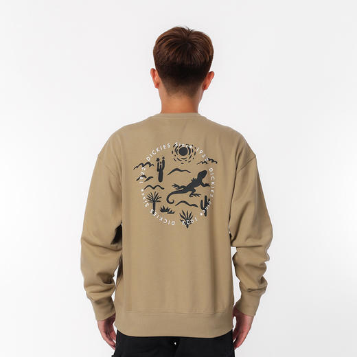 Dickies卫衣 时尚潮流小logo宽松版型纯棉圆领男式卫衣 DK0A87D 商品图7