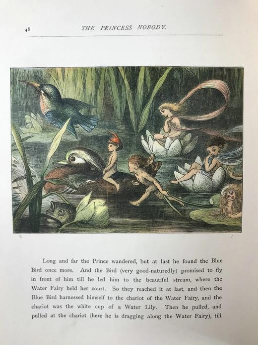 约19世纪末 安德鲁·朗格《无名公主：仙境传奇》 理查德·道尔彩色插图 布脊精装18开 商品图9