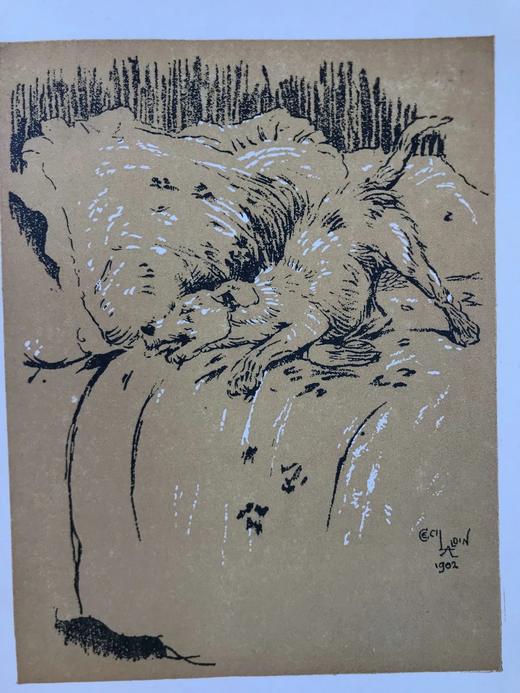 1921年 伊曼纽尔《小狗的一天》 塞西尔·奥尔丁精美插图 布脊精装36开 商品图8