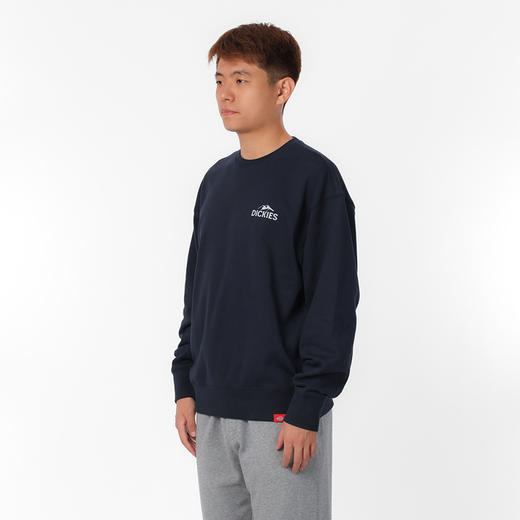 Dickies卫衣 时尚潮流小logo宽松版型纯棉圆领男式卫衣 DK0A87D 商品图2