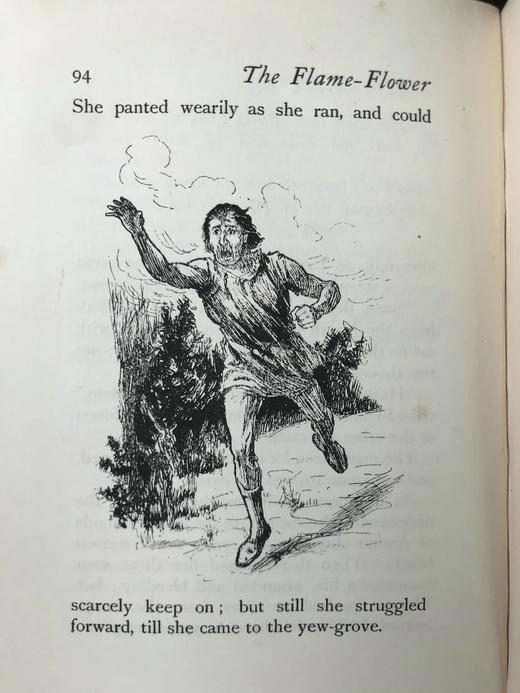 1896年 苏利文《火焰花及其他故事》 作者亲绘约百幅插图 漆布精装32开 商品图13