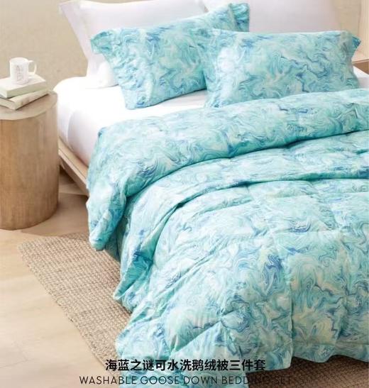 【春上新】10楼 宜庭 海蓝之谜波兰进口95%可水洗鹅绒春秋三件套 原价7980-9980元 活动价3599-3999元 商品图3