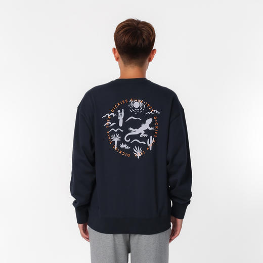 Dickies卫衣 时尚潮流小logo宽松版型纯棉圆领男式卫衣 DK0A87D 商品图3