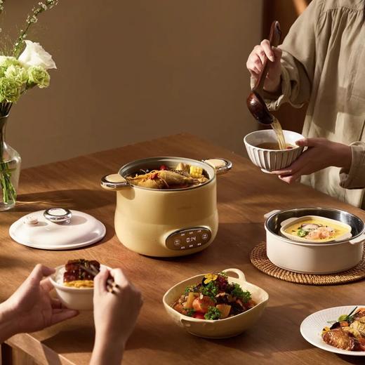 APIXINTL安本素-‌微压电饭煲 | 3L精致容量，满足2-4人食 商品图2
