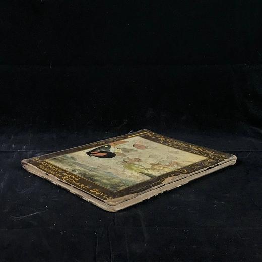 【品相欠佳】约19世纪末 安德鲁·朗格《无名公主：仙境传奇》 理查德·道尔彩色插图 布脊精装18开 商品图1