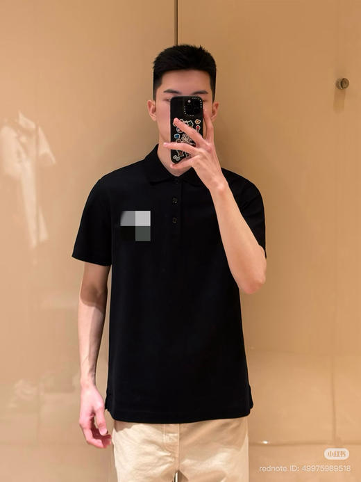 初九上新 马年穿彩马 bbr彩马刺绣 翻领polo短袖 商品图2