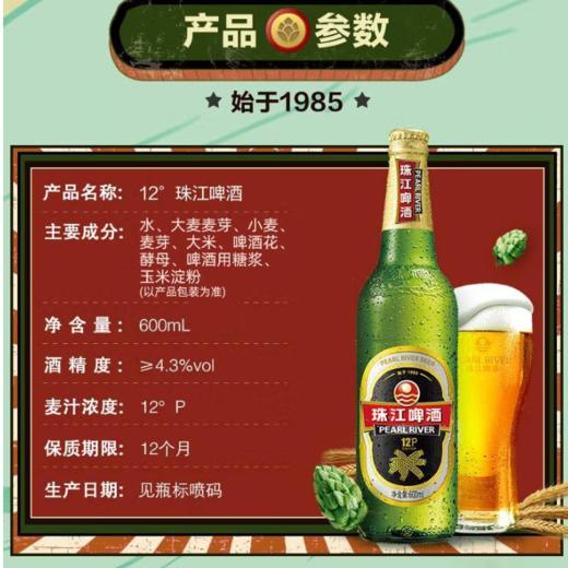 珠江啤酒12度 (玻璃瓶)600ml 商品图4
