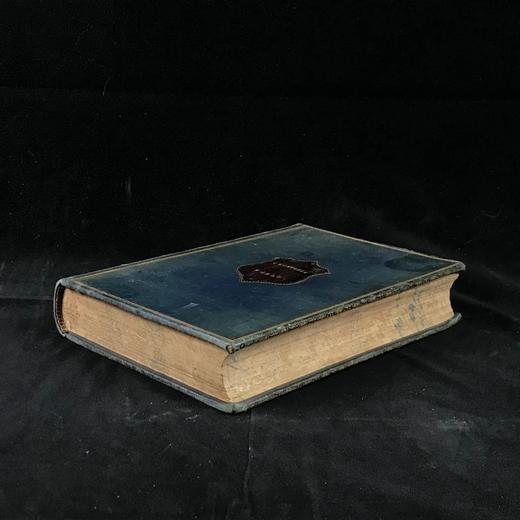 约19世纪后期 植物世界 476幅插图 全真皮精装32开 商品图1