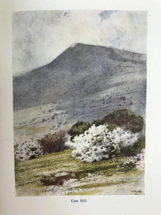 1908年 豪斯曼《西罗普郡少年》 8幅彩色插图 布面精装32开 商品图10