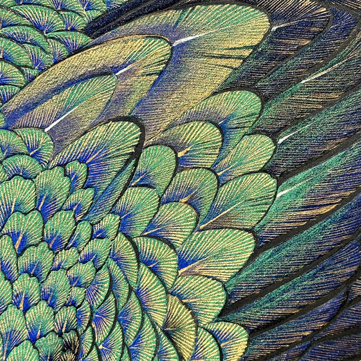 独角鹿西洋古董18世纪日本江户时代出品「雀羽呈祥」主题金地纸本设色六曲屏风 商品图8