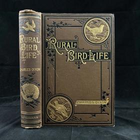 1882年 乡村鸟类生活 数十幅木版画插图 漆布精装32开