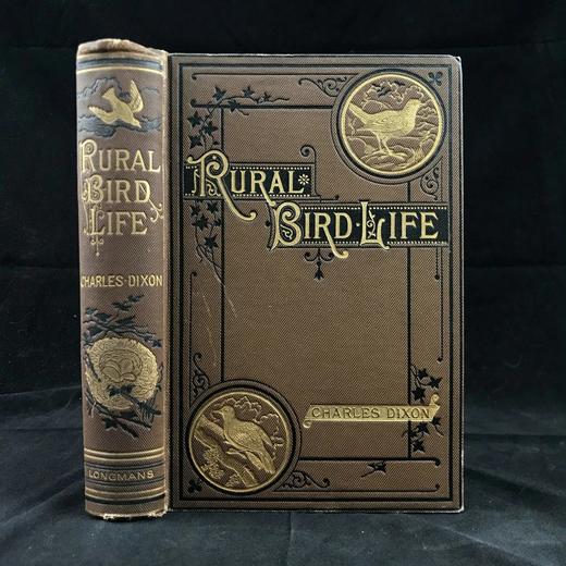 1882年 乡村鸟类生活 数十幅木版画插图 漆布精装32开 商品图0