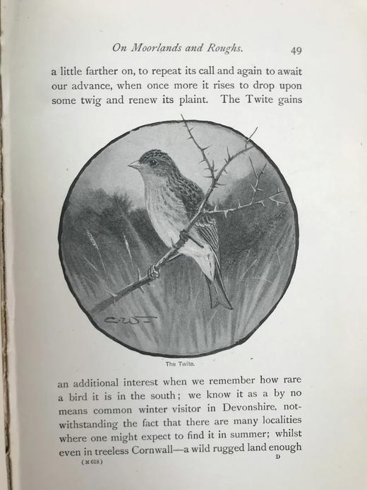 1900年 北方郡鸟类观察记录 1幅彩色40幅黑白插图 漆布精装32开 商品图9