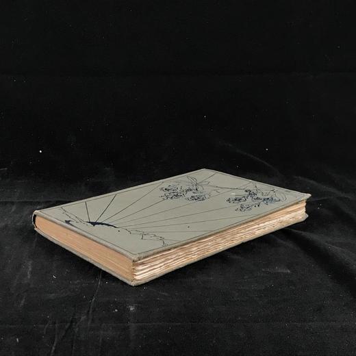 1908年 豪斯曼《西罗普郡少年》 8幅彩色插图 布面精装32开 商品图1