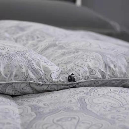 【春上新】10楼宜庭 梅森暖柔波兰进口春秋鹅绒被  吊牌价19800-23800元 活动价3999-4999元 商品图2