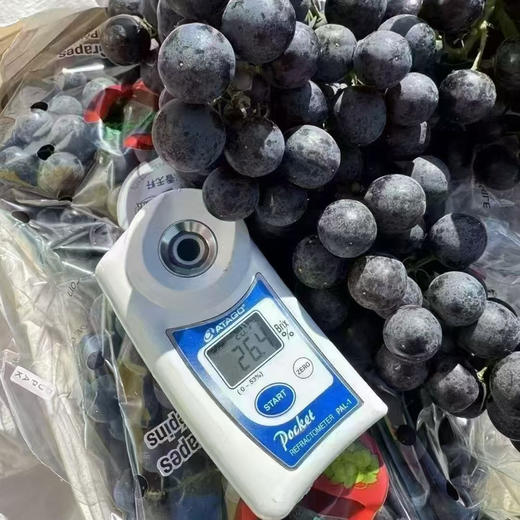 智利玫瑰香黑提 商品图1