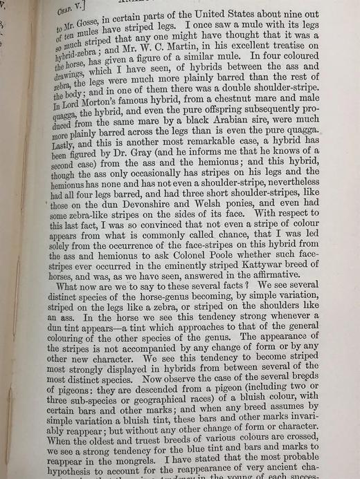 1892年 达尔文《物种起源》 漆布精装32开 商品图7