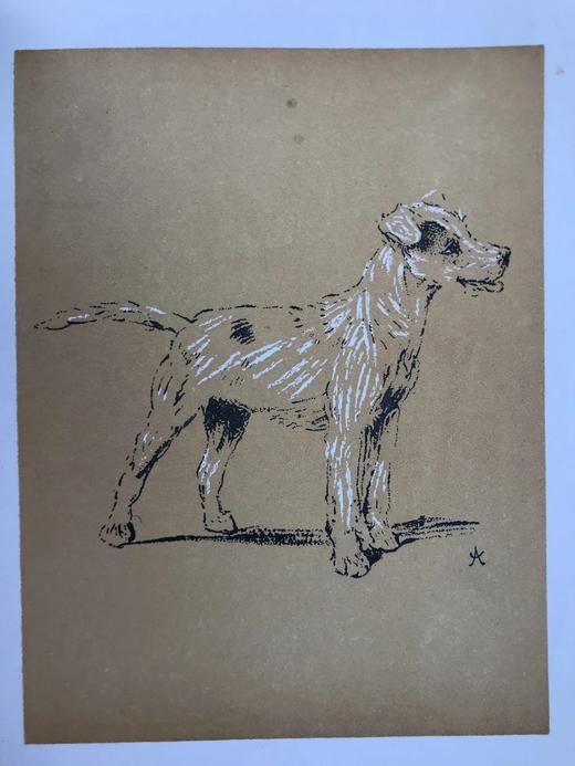 1921年 伊曼纽尔《小狗的一天》 塞西尔·奥尔丁精美插图 布脊精装36开 商品图9