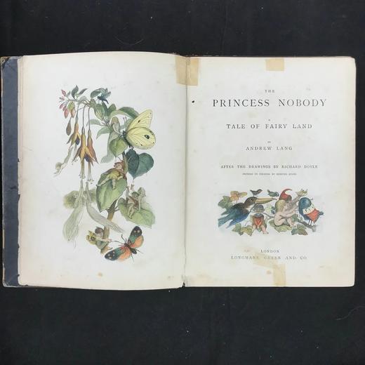【品相欠佳】约19世纪末 安德鲁·朗格《无名公主：仙境传奇》 理查德·道尔彩色插图 布脊精装18开 商品图3