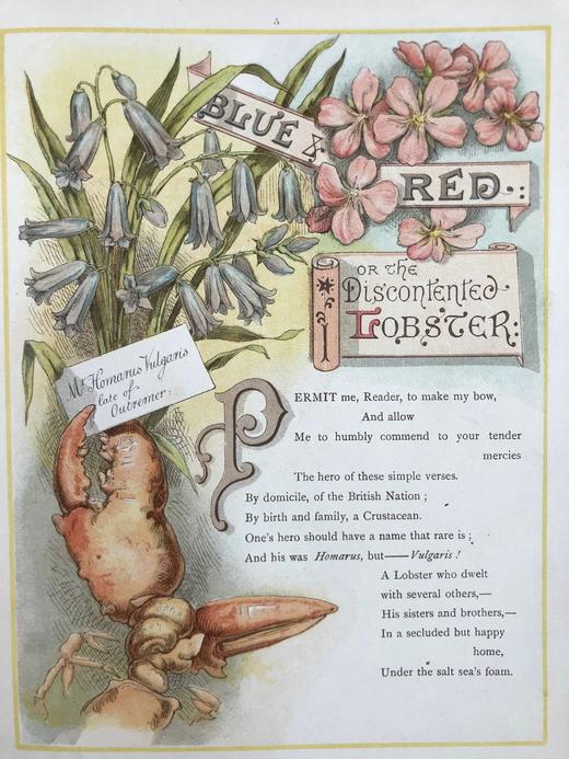 约19世纪后期 尤因《蓝与红》 安德烈32页彩色插图 精装18开 商品图5