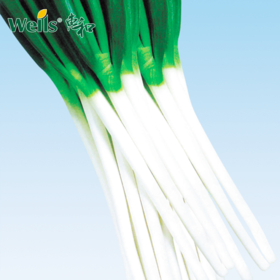 「专业种子」玖悦 大葱杂交种子 商品性好，产量高，杂交优势明显