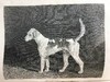 1824年 体育杂志：赛马、狩猎及其他趣味消遣活动月刊 数十幅版画擦图 真皮精装大32开 商品缩略图6