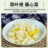 【2袋更划算❗️酸辣泡藕带】古法新制泡出家乡味，6小时锁鲜加工，鲜嫩如玉酸辣爽口，藕带泡藕芽400g袋装预制菜食堂商超同款下饭菜QQ 商品缩略图1