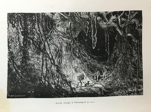 【法语】约19世纪后期 热带地区天文及自然科学研究 40幅版画插图  部分为彩色 真皮精装16开 商品图8