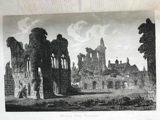 39*27cm！1846年 英国威尔士国教建筑图史（全8卷） 约240幅原品版画（含大量对开插图） 真皮精装 商品图6