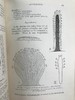1910年 动物学纲要 420幅插图 漆布精装32开 商品缩略图11