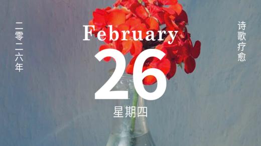 爱情可以很小，也可以足够宽阔 商品图0