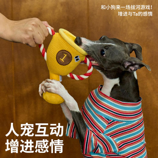棒棒奖林绳结玩具-B(包邮) 商品图3