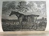 1824年 体育杂志：赛马、狩猎及其他趣味消遣活动月刊 数十幅版画擦图 真皮精装大32开 商品缩略图4