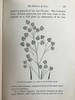 1870年 田野花卉手册 8幅彩色90幅黑白木版画 漆布精装36开 商品缩略图14