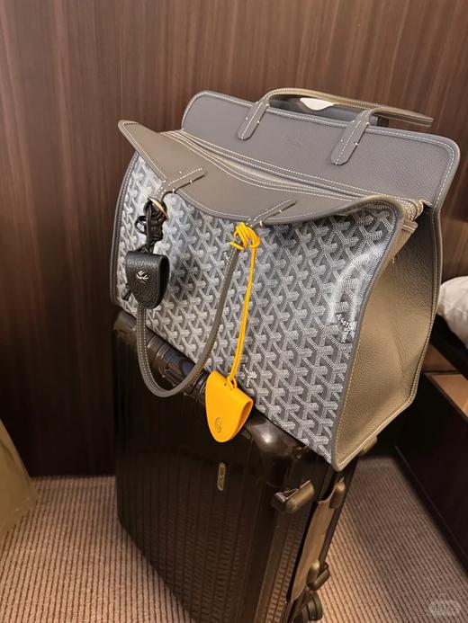 戈雅hardy 尺寸（40*17*31） 商品图1