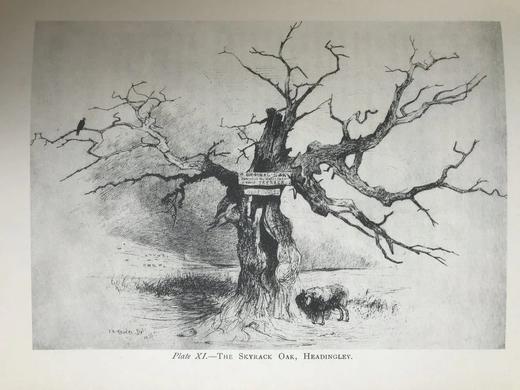 限量400册 1904年 约翰·罗德斯画集 19幅插图 漆布精装16开 商品图7