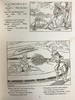 约20世纪早期 福卡德绘本童书《泰迪尾巴的童话故事》  配大量插图 平装16开 商品缩略图10