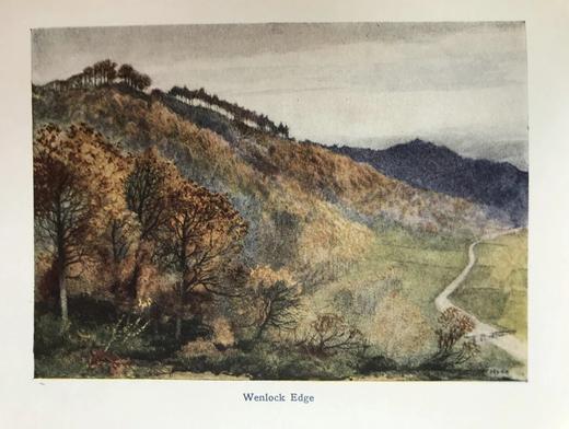 1908年 豪斯曼《西罗普郡少年》 8幅彩色插图 布面精装32开 商品图9