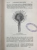 1908年 达尔文《食虫植物》配有插图 漆布精装32开 商品缩略图6