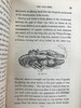 1861年 乡村常见事物图鉴 配多幅套色版画插图 漆布精装36开 商品缩略图13
