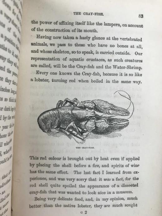 1861年 乡村常见事物图鉴 配多幅套色版画插图 漆布精装36开 商品图13