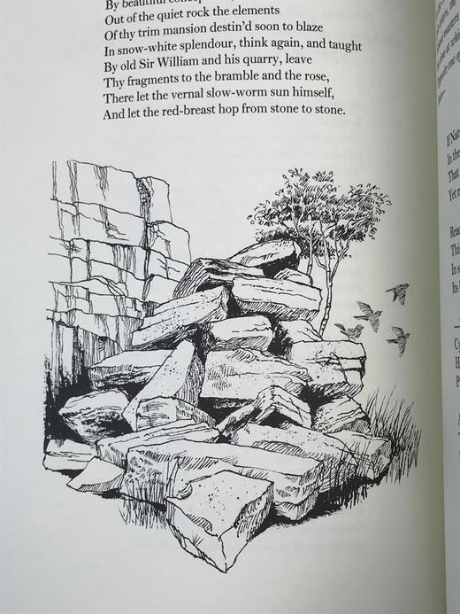 限量版！华兹华斯，柯勒律治《抒情歌谣集》 配插图 富兰克林图书馆豪华皮装本 商品图13