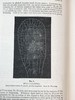 1908年 达尔文《食虫植物》配有插图 漆布精装32开 商品缩略图8